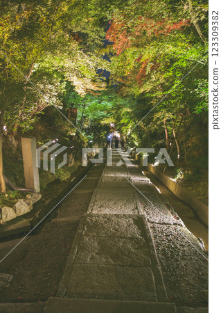 [Kodaiji Temple] Beautiful illuminated autumn foliage scenery 123309382