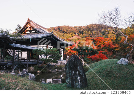 【高台寺】秋葉絢爛的京都寺廟 【高台寺】秋葉絢爛的京都寺廟 123309465