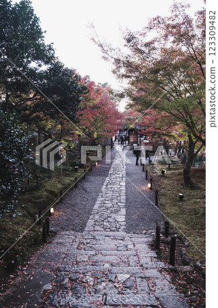 【高台寺】秋葉絢爛的京都寺廟 【高台寺】秋葉絢爛的京都寺廟 123309482