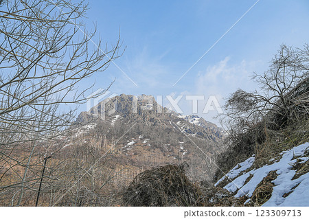 Wallpaper. Branches of trees without leaves, with spring swelling buds of frame in foreground against background of blurred cascades of mountain peaks and slopes covered with snow. Beauty in nature Wallpaper. Branches of trees without leaves, with spring swelling buds of frame in foreground against background of blurred cascades of mountain peaks and slopes covered with snow. Beauty in nature 123309713