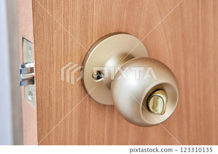 Door knob reveals round design with visible screws securing plate against wood door, showcasing residential hardware for passage function and home security. 123310135