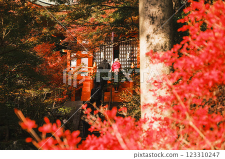 [Bishamondo Monzeki] Colorful autumn leaves and a historic temple 123310247