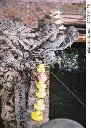 [Bishamon-do Monzeki] Scenery of a temple deep in the mountains of Kyoto 123310456