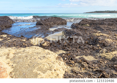 Rocky shoreline with seaweed and ocean waves, sand visible on the beach, mallorca balearic islands, spain Rocky shoreline with seaweed and ocean waves, sand visible on the beach, mallorca balearic islands, spain 123310486
