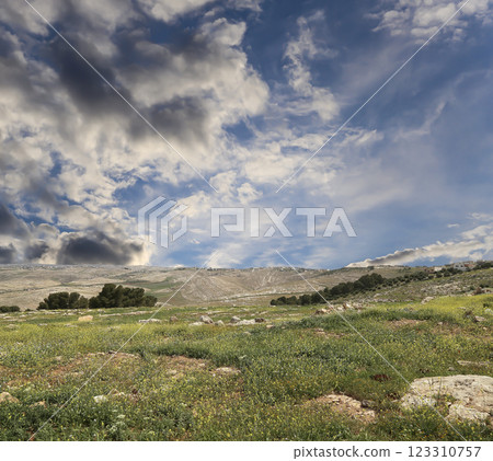 Typical mountain landscape, Jordan, Middle East (photography from a high point). Against the background of a beautiful sky with clouds Typical mountain landscape, Jordan, Middle East (photography from a high point). Against the background of a beautiful sky with clouds 123310757