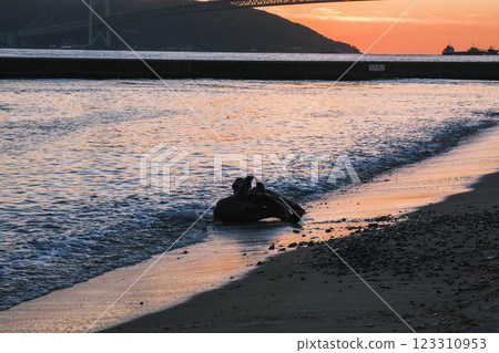 [Azur Maiko Beach] 沙灘與浮木 123310953