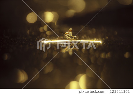 Dragonfly in middle of water at dawn with flakes in water 123311361