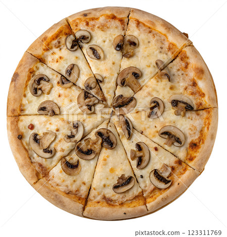Delicious pizza with mushrooms isolated on transparent background, italian cuisine, cheesy, appetizing 123311769