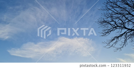 Cloud like feather on blue sky Cloud like feather on blue sky 123311932