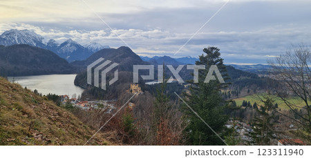 View to the lake, castle and forest 123311940