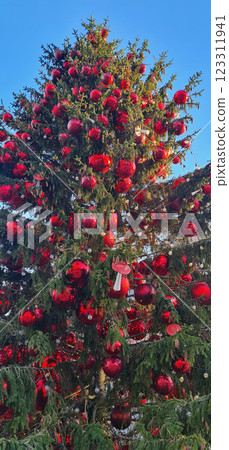 Big Christmas tree with red balls 123311941