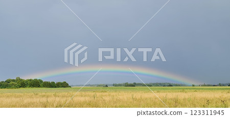 Yellow field with beautiful rainbow Yellow field with beautiful rainbow 123311945