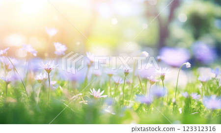Wildflower meadow under blue sky on a sunny day 123312316