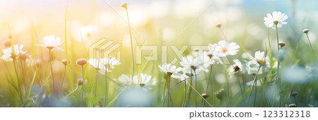 Wildflower meadow under blue sky on a sunny day Wildflower meadow under blue sky on a sunny day 123312318