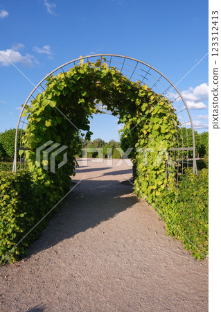 Green Archway in a Garden or Park Green Archway in a Garden or Park 123312413