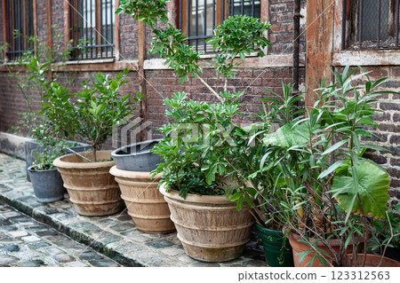 A small garden in the city 123312563