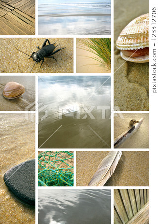 On the beach 123312706