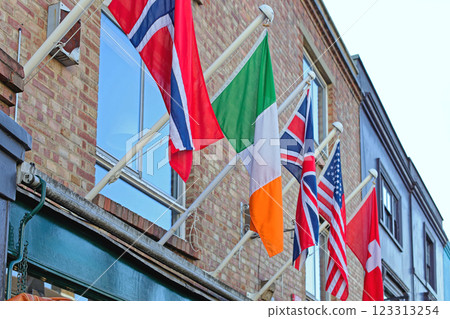 World Travel Flags 123313254