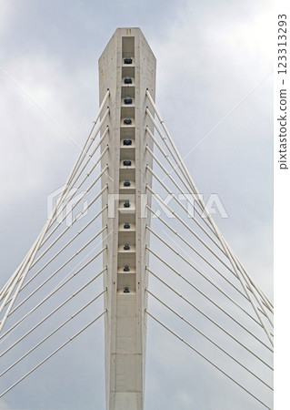 Suspension Bridge Pillar Podgorica 123313293