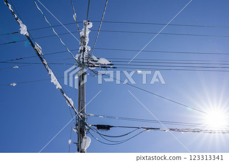 Snow-covered telephone pole 123313341