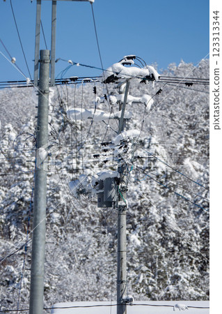 積雪覆蓋的電線桿 123313344