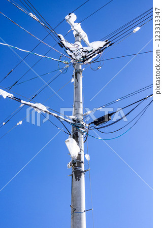 積雪覆蓋的電線桿 積雪覆蓋的電線桿 123313347