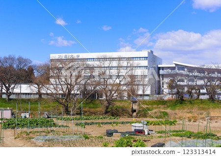 Around Bunkyo University, Koshigaya City, Saitama Prefecture February 2025 123313414