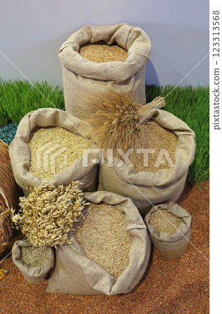 Wheat Grains Sacks 123313568