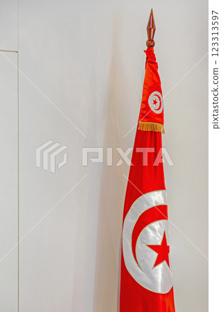 Tunisia Flag Pole 123313597