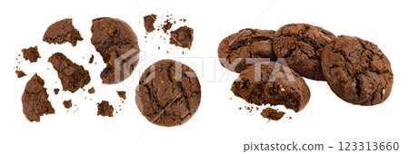 chocolate cookies broken isolated on white background with full depth of field. Top view. Flat lay 123313660