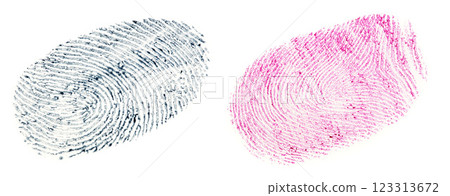 black fingerprint pattern isolated on white background black fingerprint pattern isolated on white background 123313672