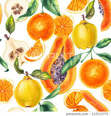 Botanical pattern watercolor with plants fruits and flowers Botanical pattern watercolor with plants fruits and flowers 123313775