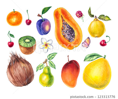 Botanical watercolor set with plants Botanical watercolor set with plants 123313776