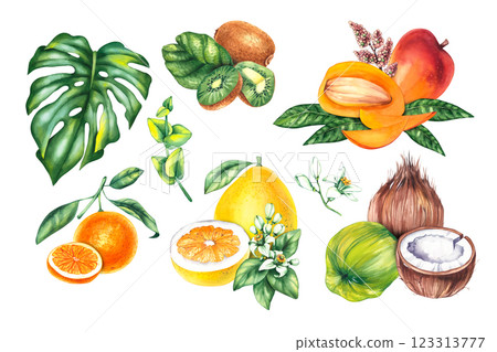 Botanical watercolor set with plants Botanical watercolor set with plants 123313777