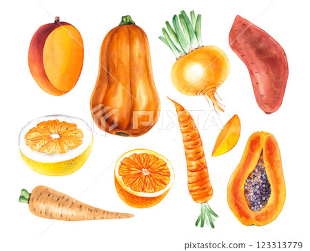Botanical watercolor set with plants 123313779
