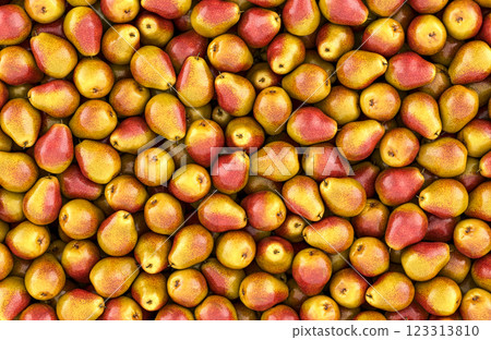 Pears background, wallpaper. 3D rendering Pears background, wallpaper. 3D rendering 123313810