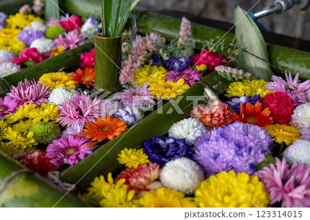Murayama Sengen Shrine Chozuba Flower Chozuba 123314015