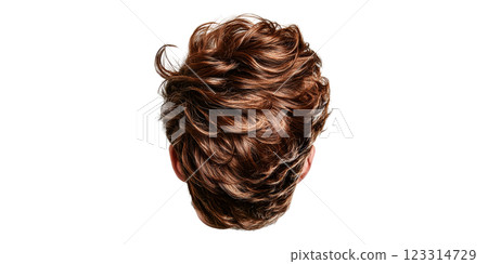 Wavy brown male hairstyle viewed from back isolated on transparent background 123314729
