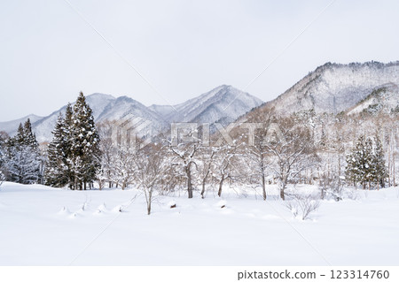 【前澤曲屋村】午後仍殘留積雪的山村 123314760
