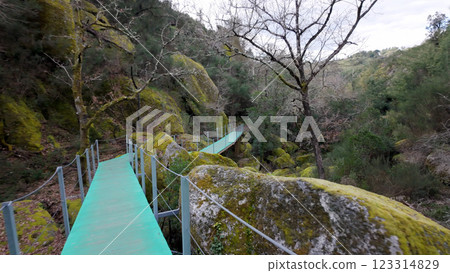 Walkway trilho dos Gaios Walkway trilho dos Gaios 123314829