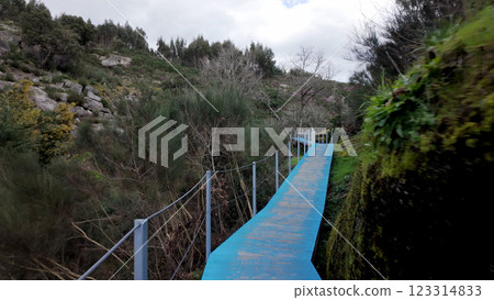 Walkway trilho dos Gaios Walkway trilho dos Gaios 123314833