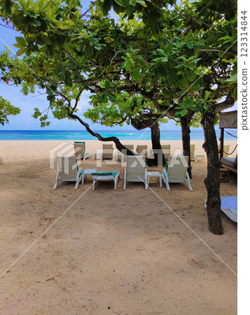 Tropical wonderful Nusa dua beach, Nusa dua, Bali, Indonesia. 123314844