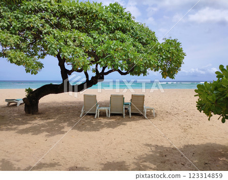 Tropical wonderful Nusa dua beach, Nusa dua, Bali, Indonesia. Tropical wonderful Nusa dua beach, Nusa dua, Bali, Indonesia. 123314859