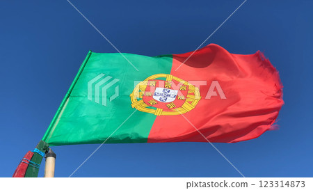 Waving flag of Portugal 123314873