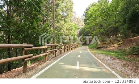 Point of view shot of riding a bicycle 123314898