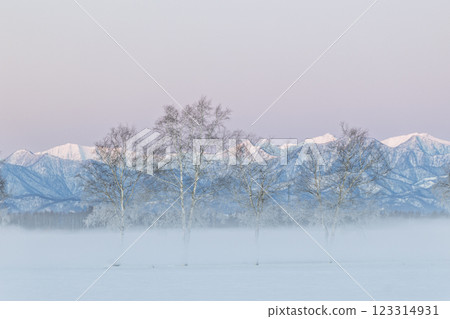 Morning glow in winter Morning glow in winter 123314931