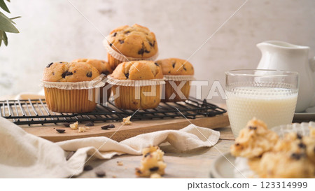 Chocolate chip muffins with milk Chocolate chip muffins with milk 123314999