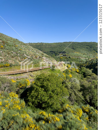 A wooden path meanders through a sunlit hillside 123315017