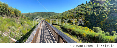 A wooden path meanders through a sunlit hillside 123315018
