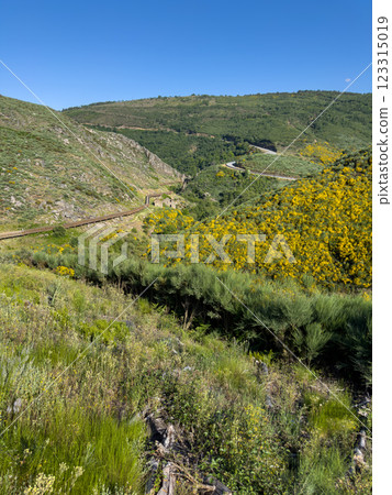 A serene boardwalk winds through vibrant, flower-laden hills under a vast blue sky 123315019